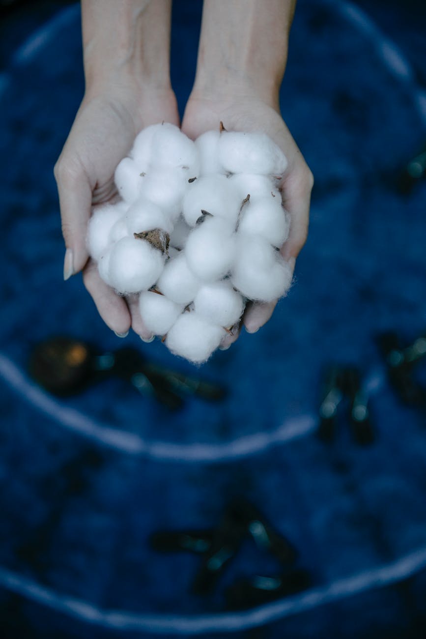 crop person showing cotton in hands