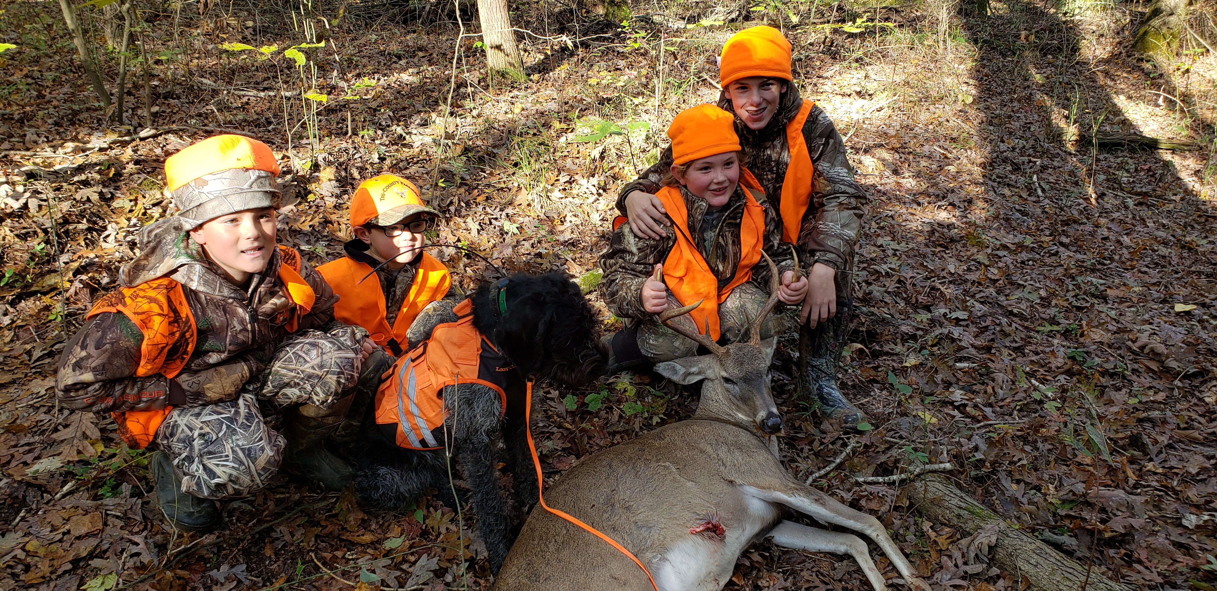 Lost deer? Tracking group recovers deer, memories