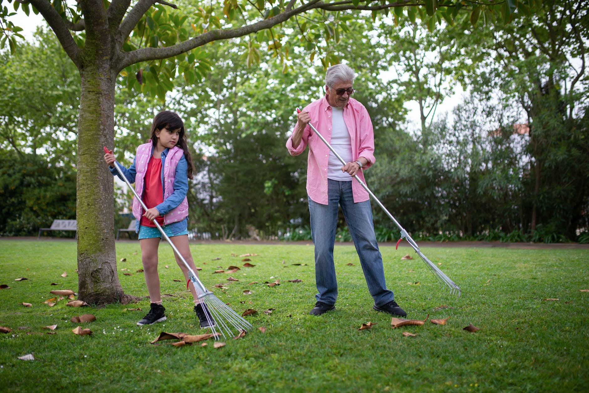 a girl raking dried leaves with her grandfather