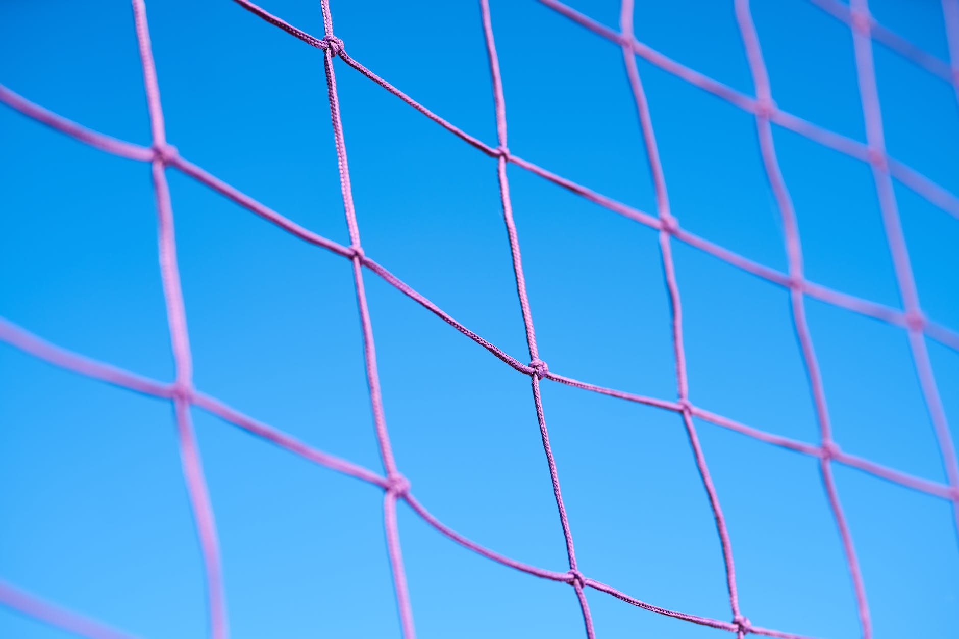 purple volleyball net