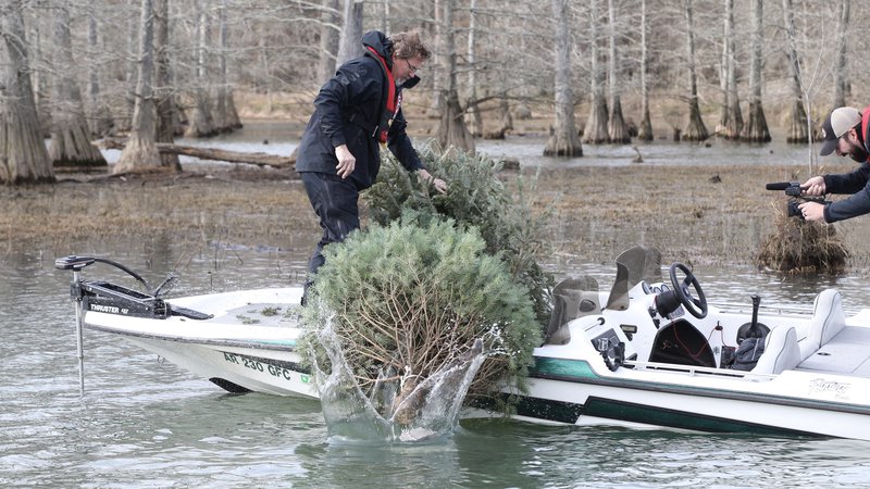 Build some habitat for the holidays