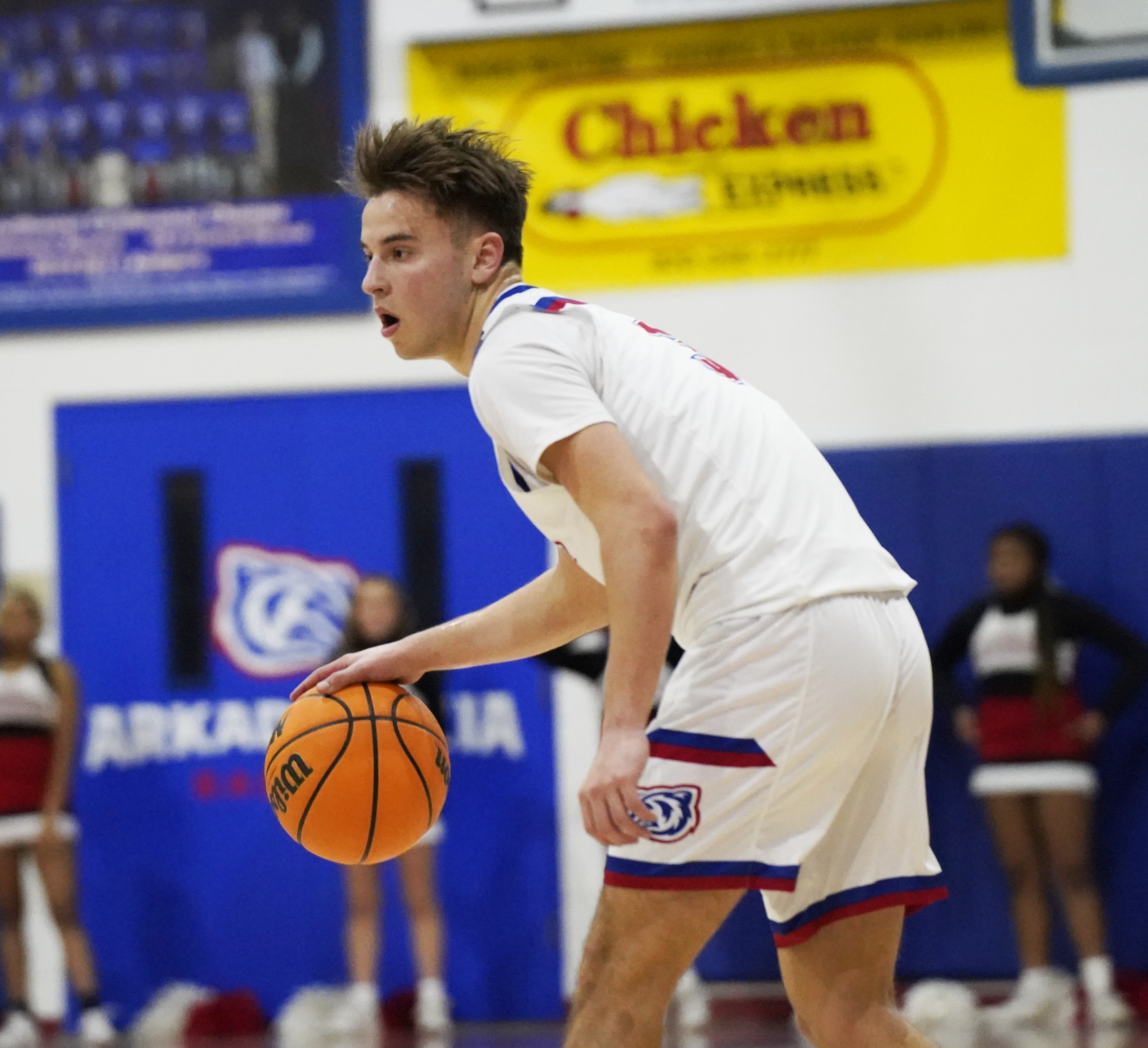 Shorthanded Badgers fall to Cardinals at home