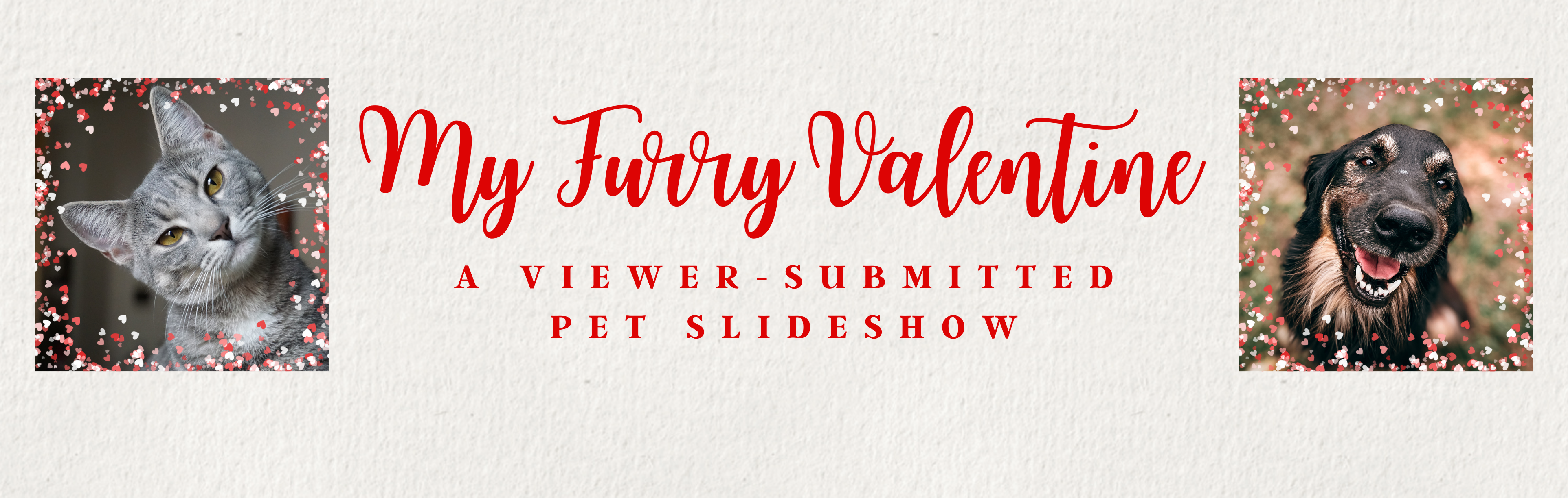 My Furry Valentine: A viewer-submitted pet slideshow