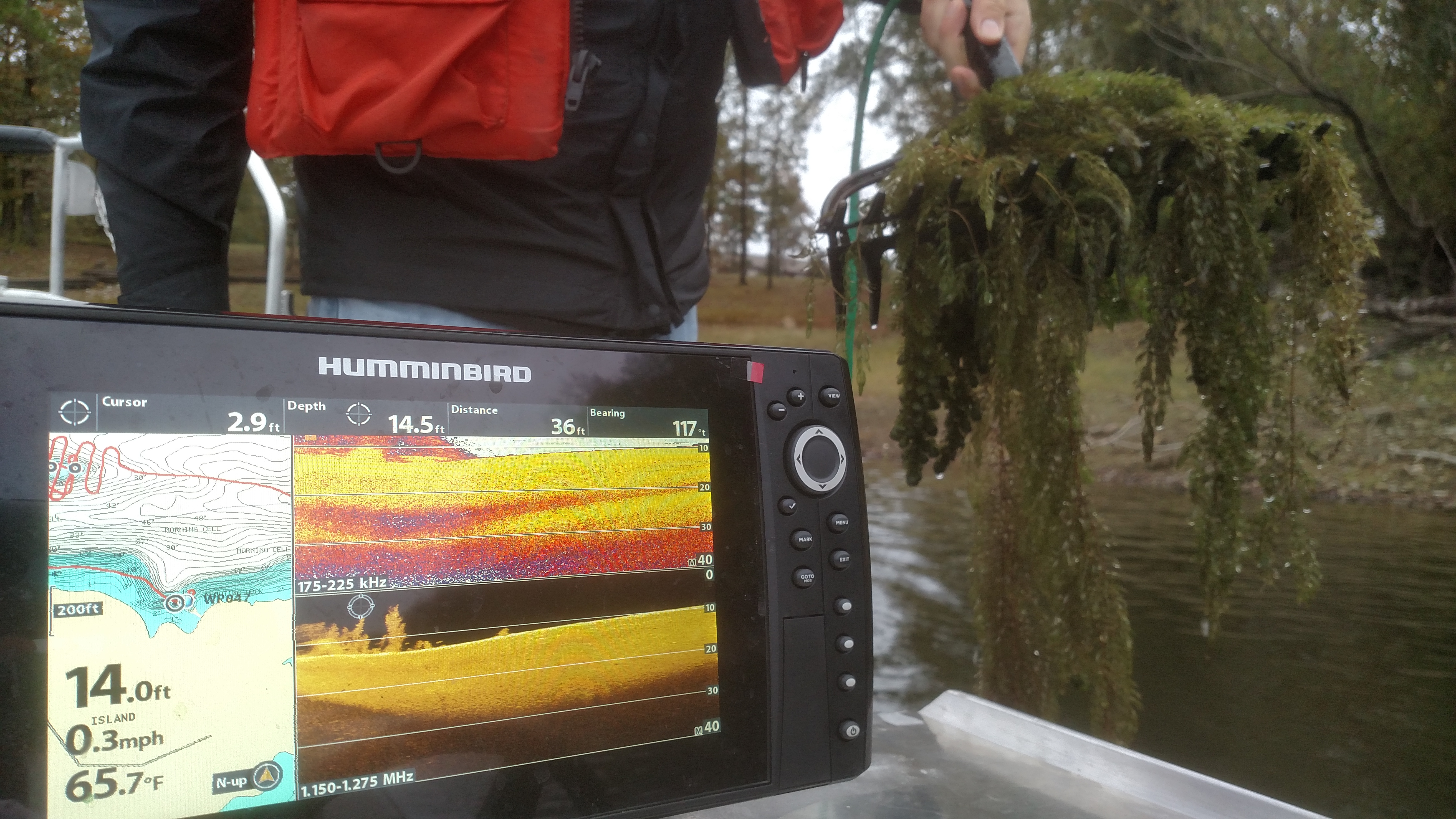 DeGray Lake site of UAPB effort to restore aquatic ecosystems