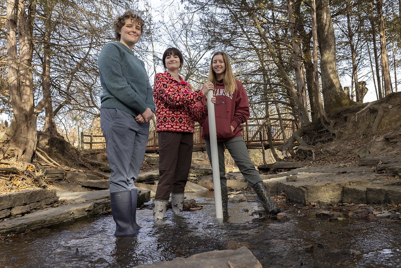 How do road salts impact roadside microorganisms?