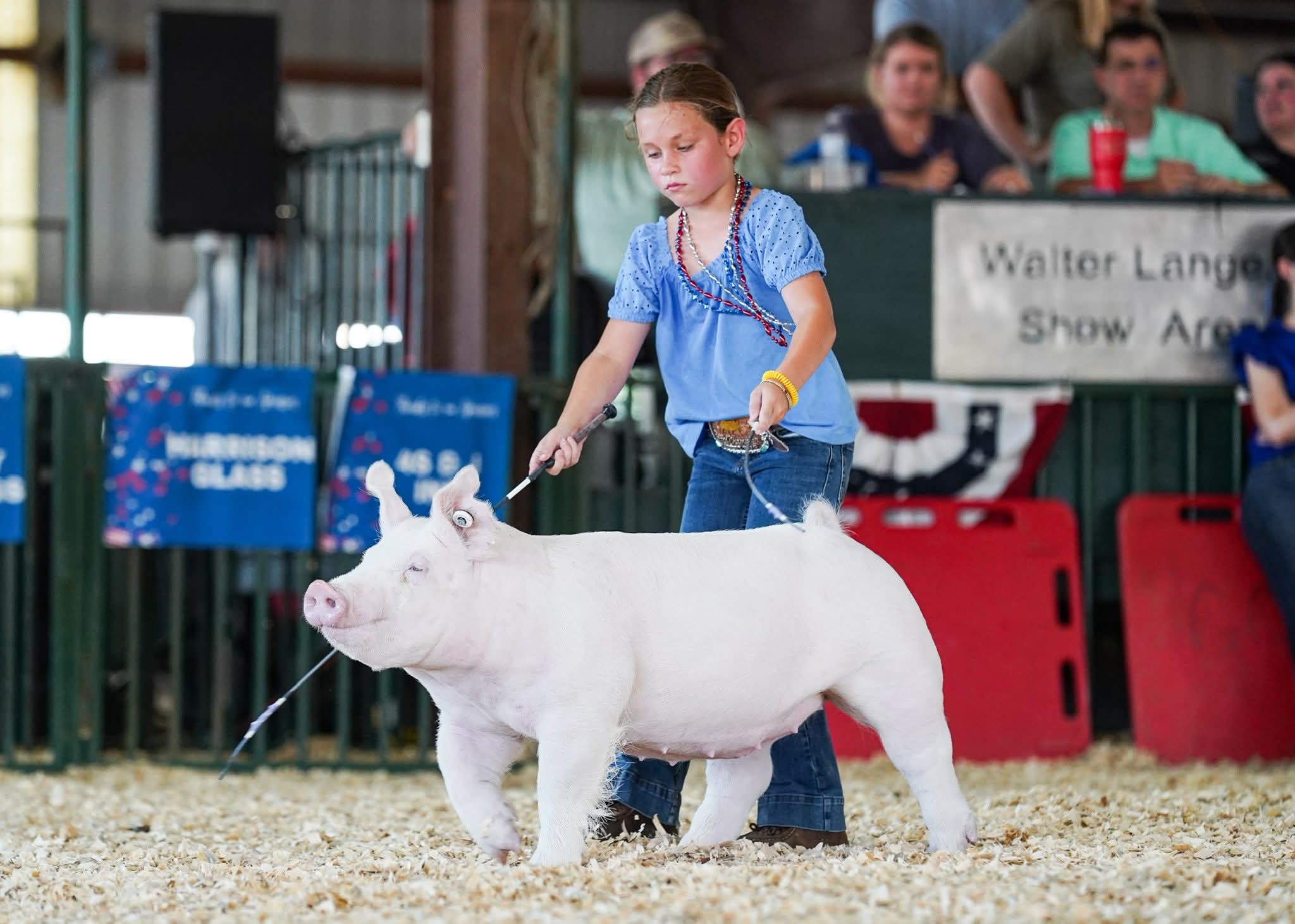 Gurdon youth earns top honor at Arkansas State Fair