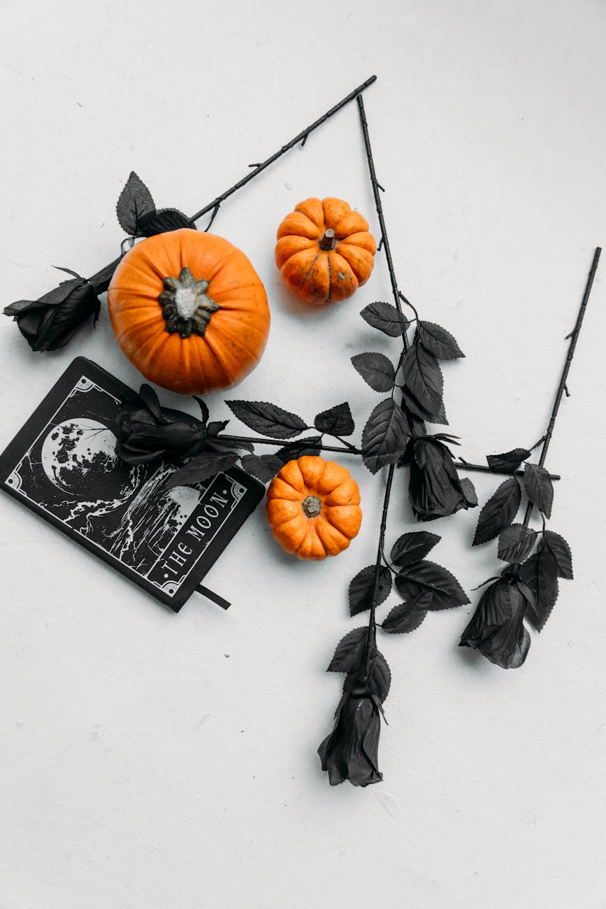 black roses and pumpkins on white surface