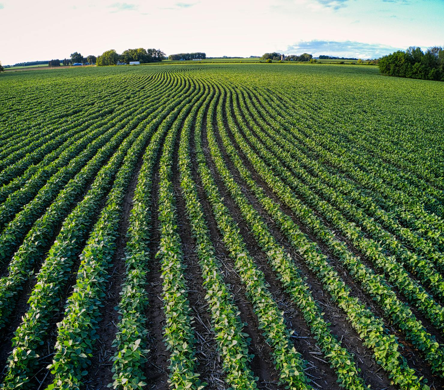 Soybean planting sprints along at fastest pace since 1988
