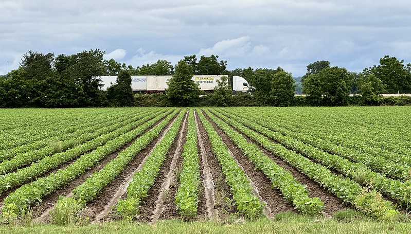Arkansas cotton, soybean planting pushes toward finish as June ‘Acreage’ surveys get underway
