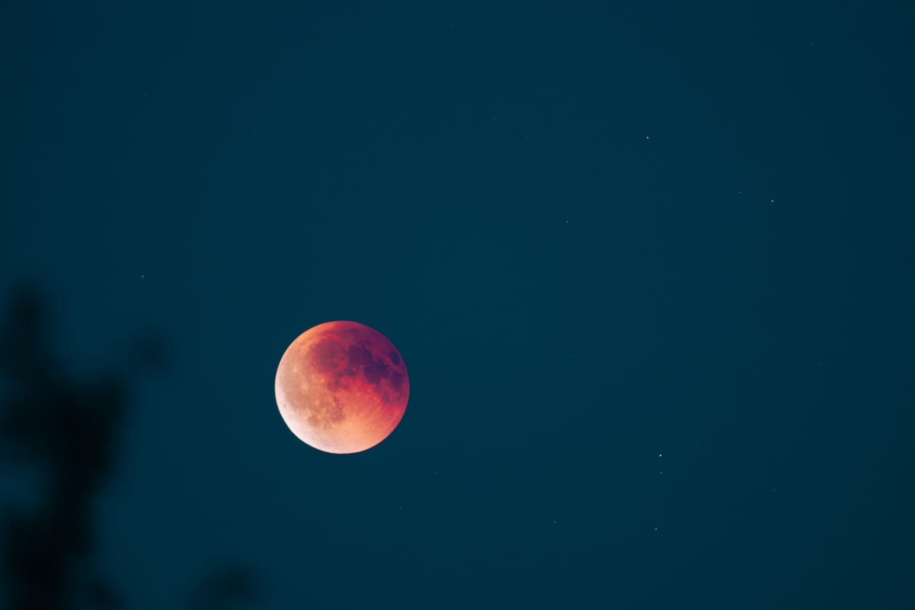 stunning blood moon with stars at night